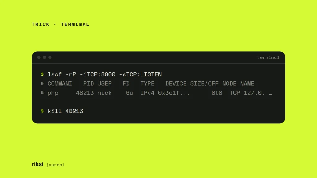 Terminal showing lsof -nP -iTCP:8000 -sTCP:LISTEN