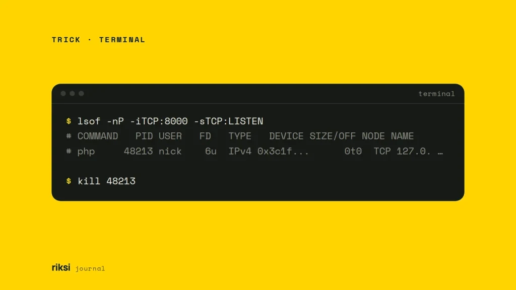 Terminal showing lsof -nP -iTCP:8000 -sTCP:LISTEN