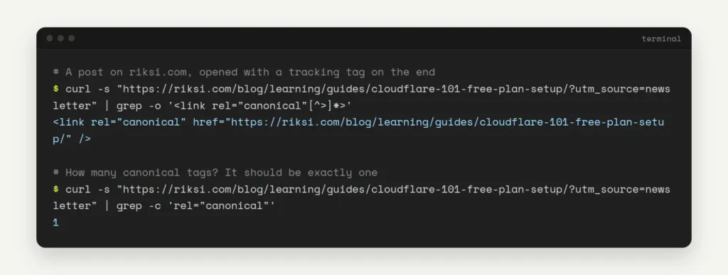 Terminal: curl on a riksi.com post with ?utm_source=newsletter returns one canonical tag with the clean address